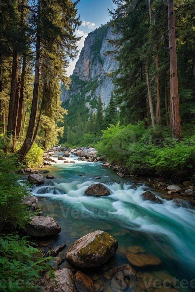 natural paisaje con un río y rápidos en contra un bosque antecedentes foto