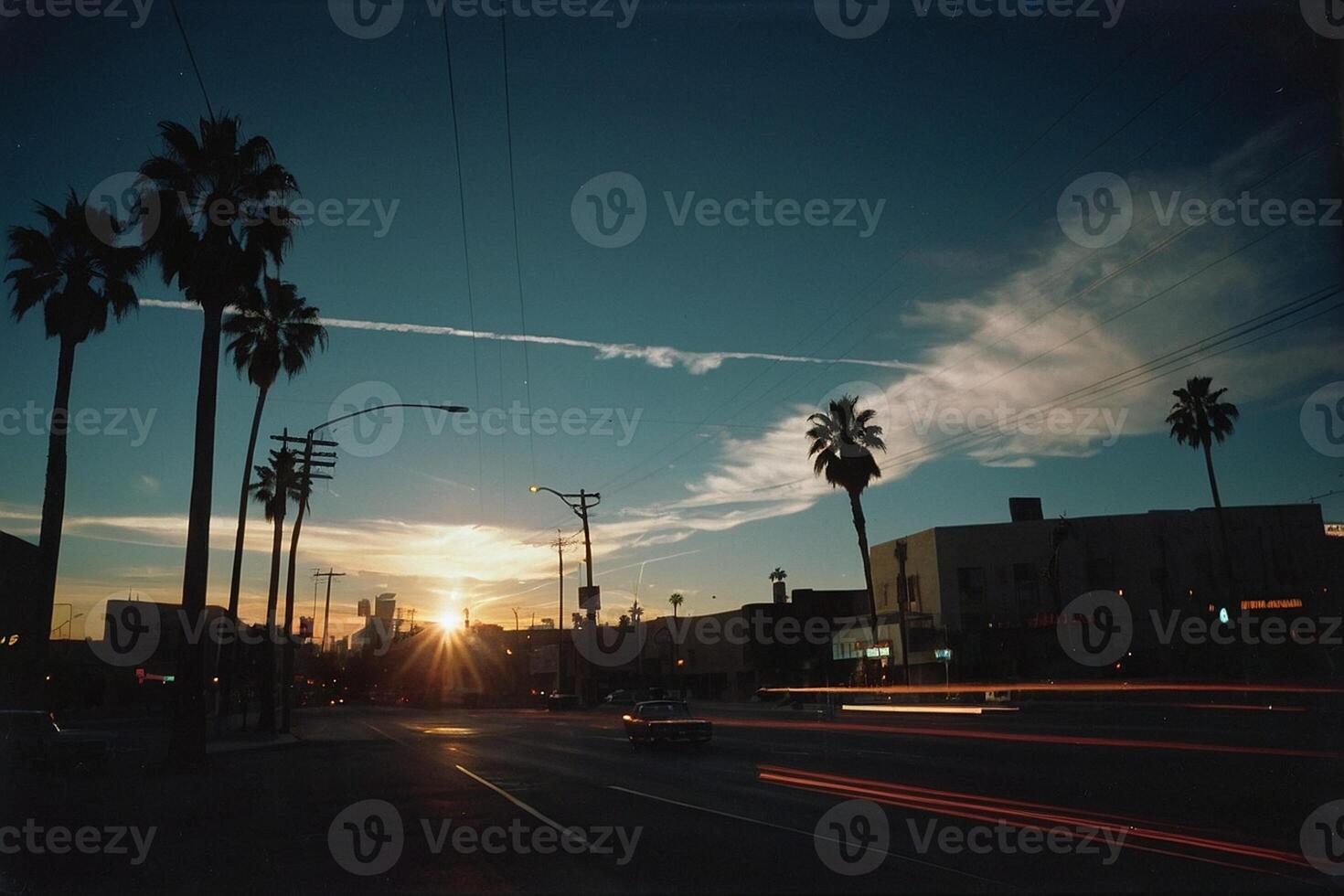 a sunset view of palm trees and a street photo