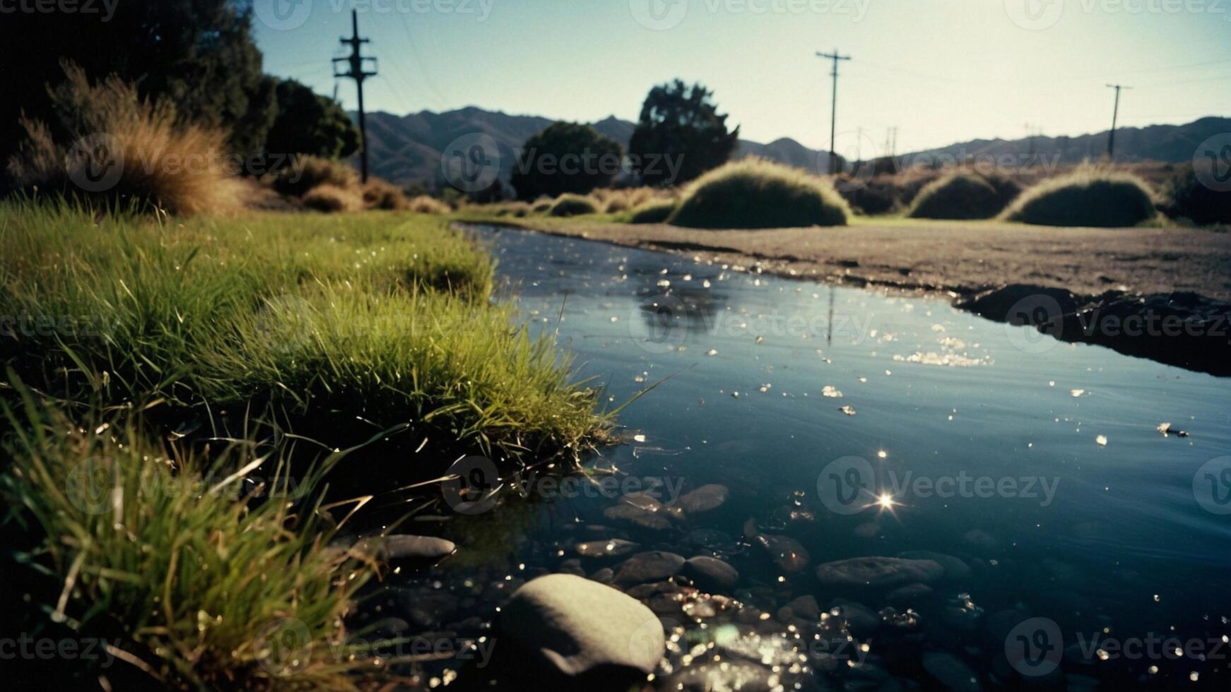 un corriente de agua carreras mediante césped y rocas foto