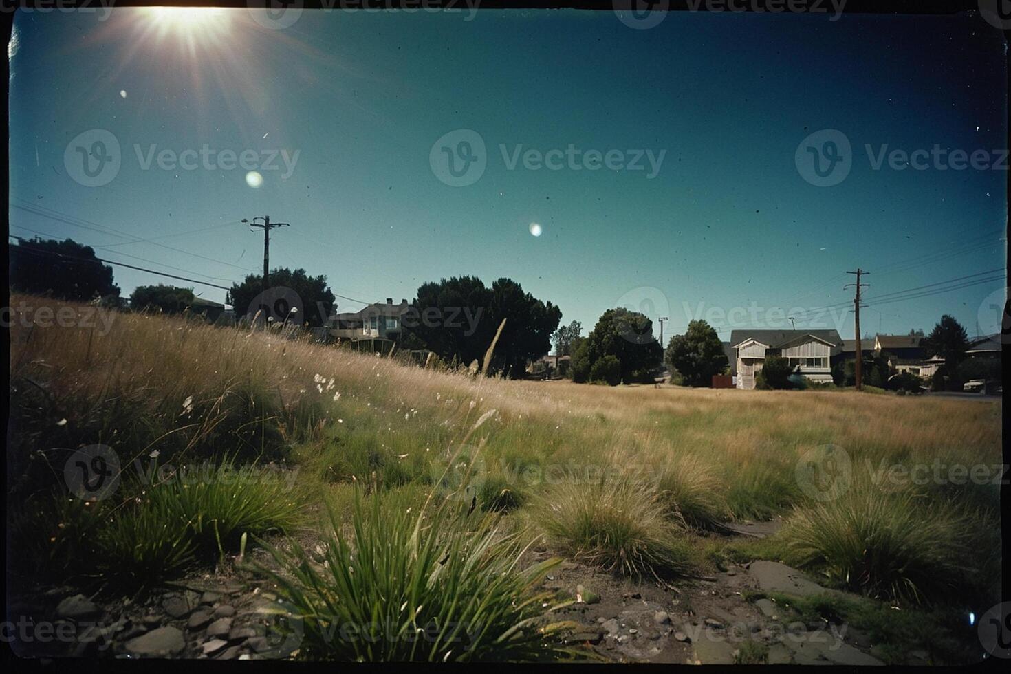 un herboso zona con arboles y un Dom brillante mediante foto