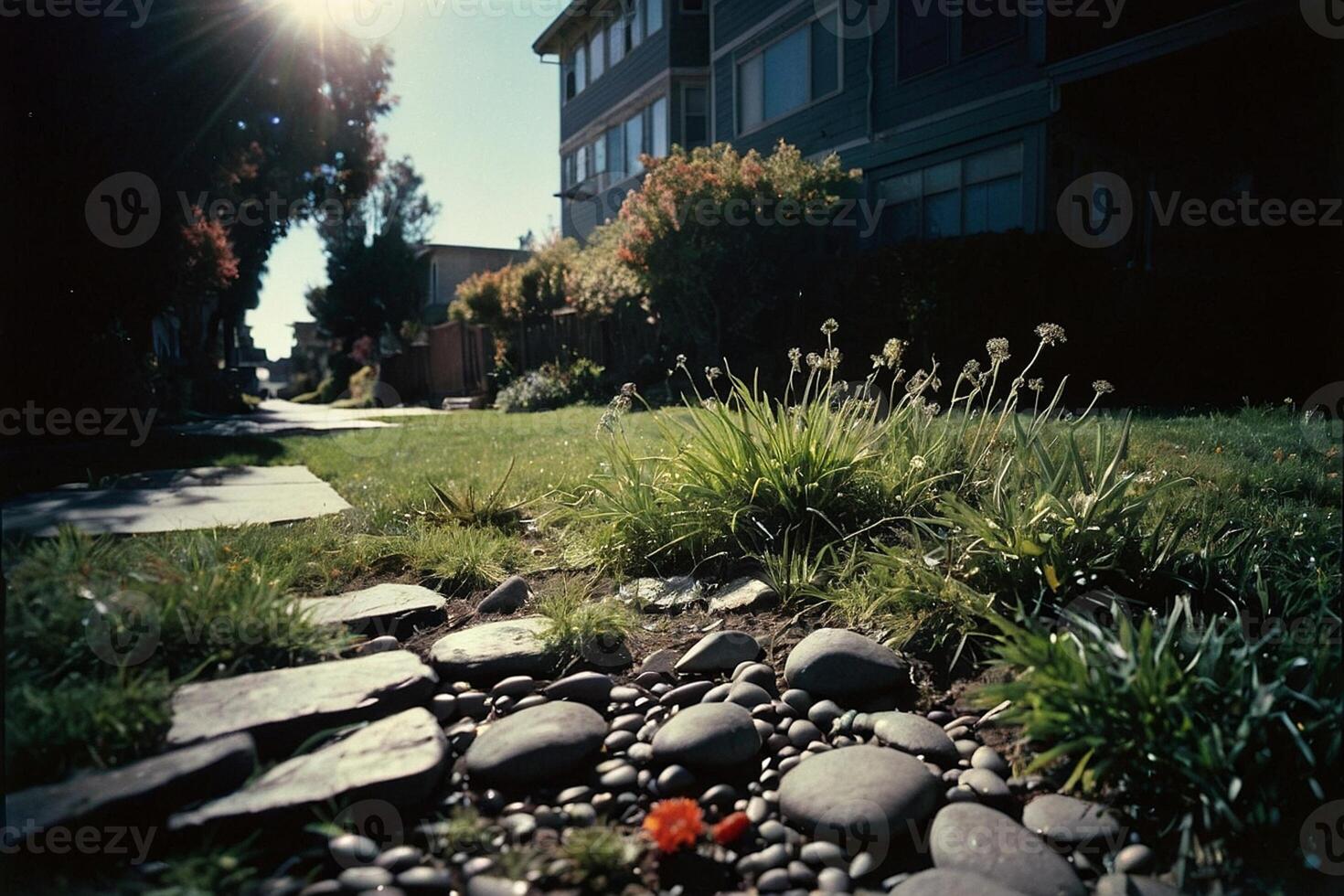 a puddle of water on the ground with grass and rocks photo