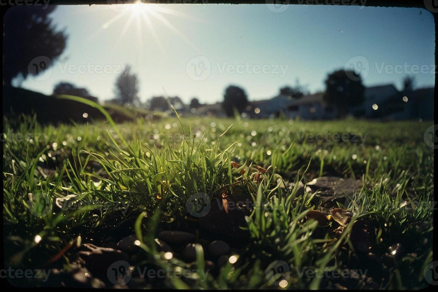 a puddle of water in a grassy field photo