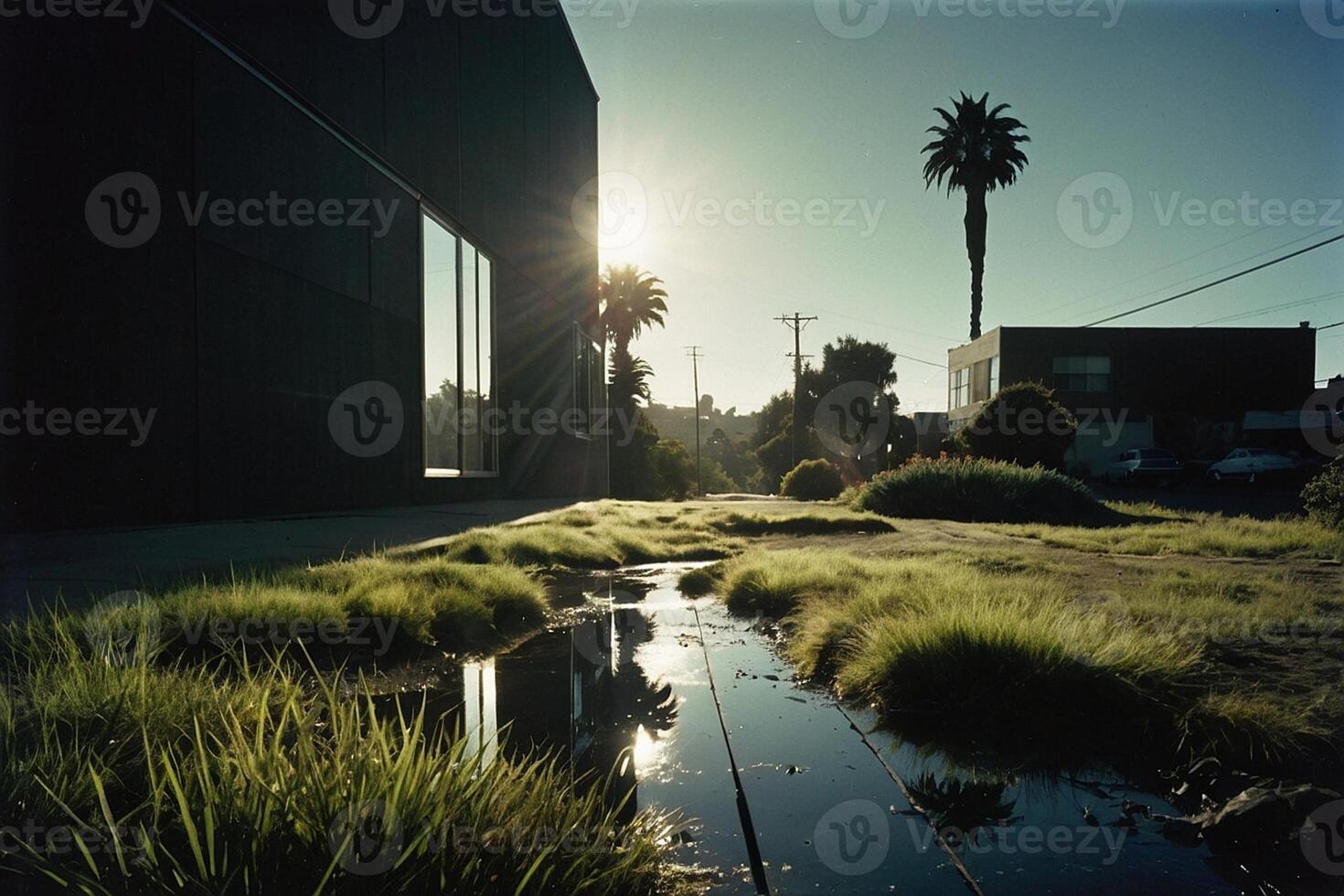 a grassy area with water and rocks photo