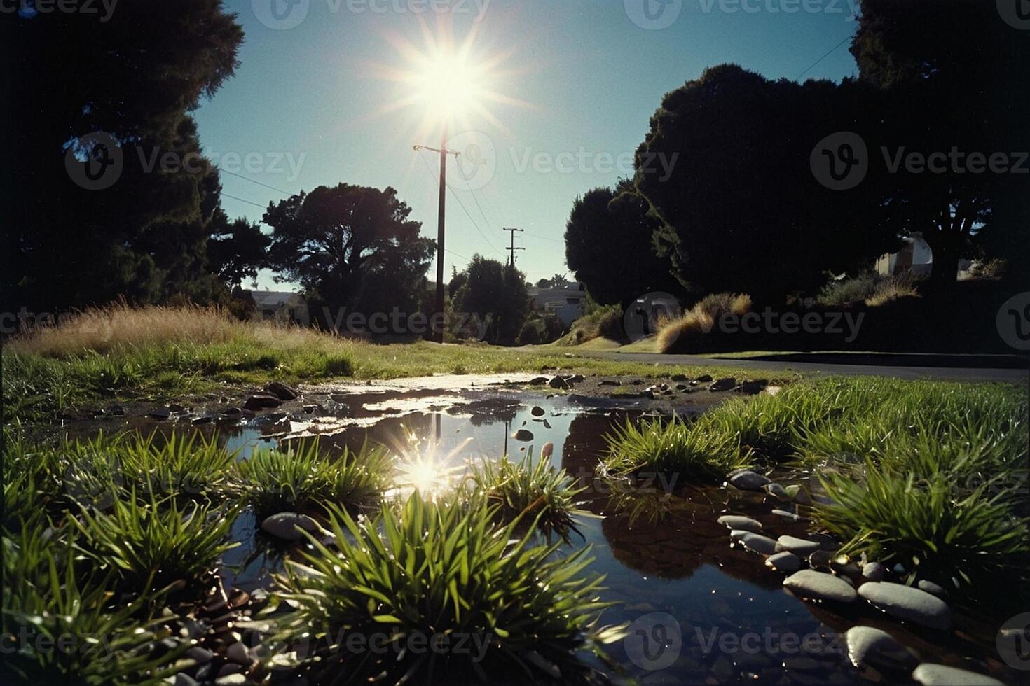 a grassy area with water and rocks photo