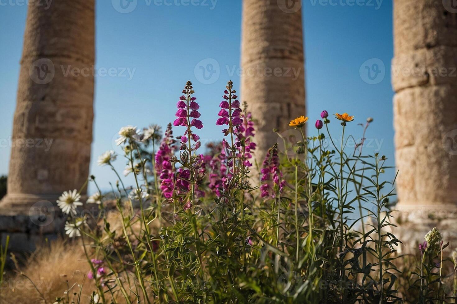 the columns of the temple of rhea in jerusalem photo