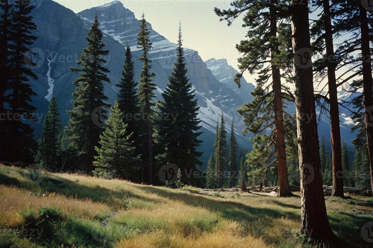 a mountain range with trees and mountains in the background photo