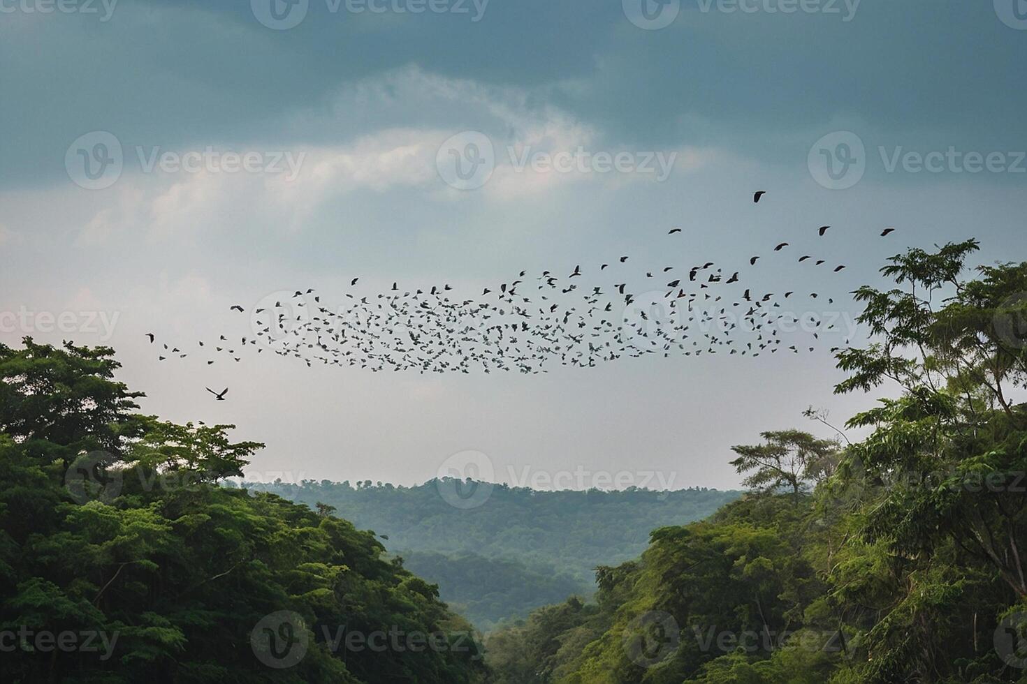 un rebaño de aves volador terminado un bosque foto