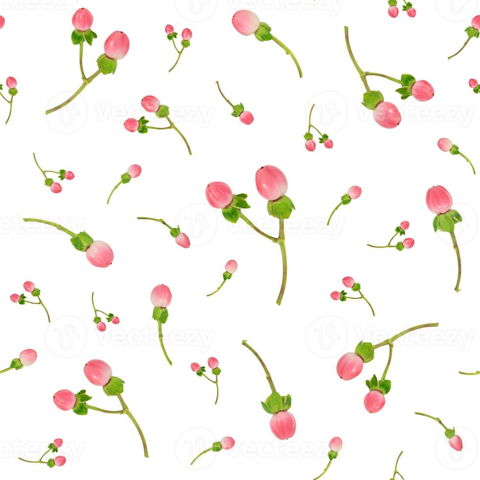 Spring seamless pattern of pink berries on white photo