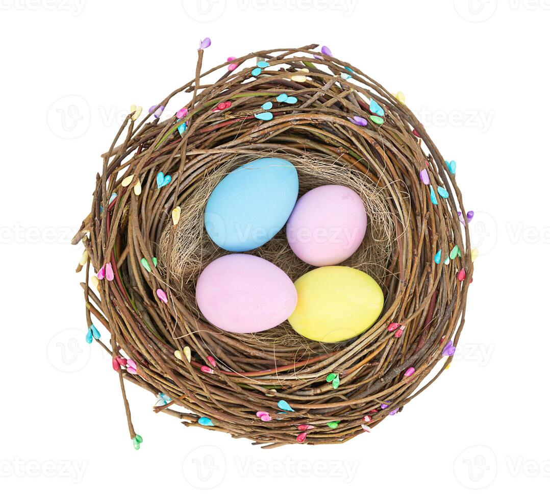 Easter color eggs in bird's nest isolated on white background photo