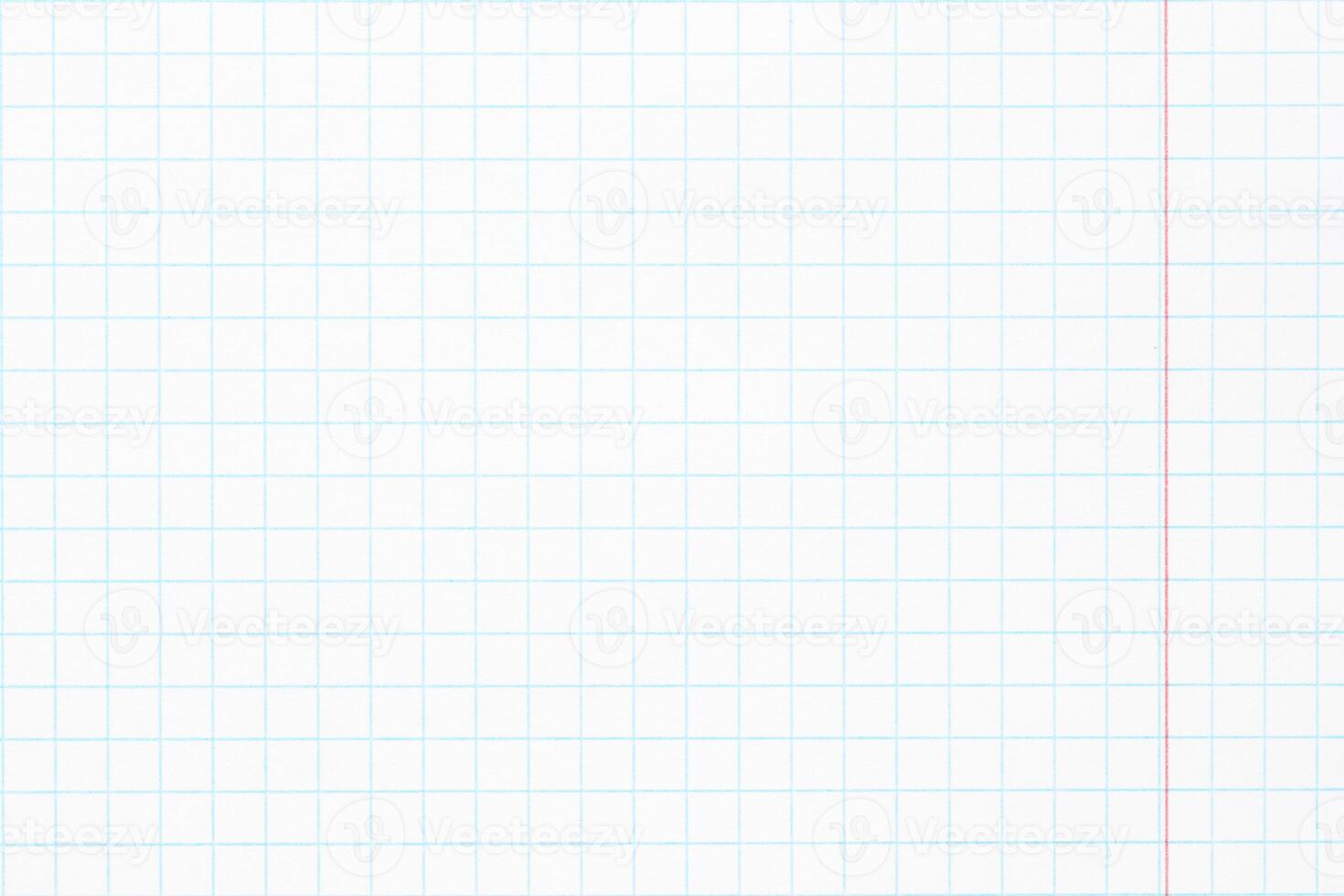 white paper cage, school notebook with square grid photo