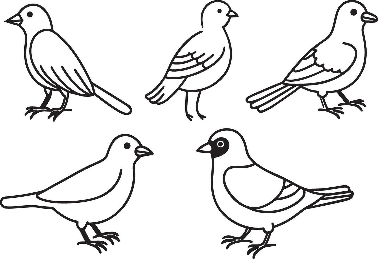 conjunto de aves en garabatear estilo. mano dibujado ilustración. vector