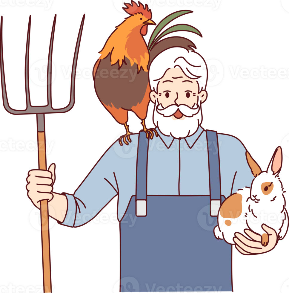 Elderly man farmer engaged in agriculture and livestock raising holds rake and rabbit with rooster. Happy grandfather farmer rejoices at having own farm and possibility of country life png