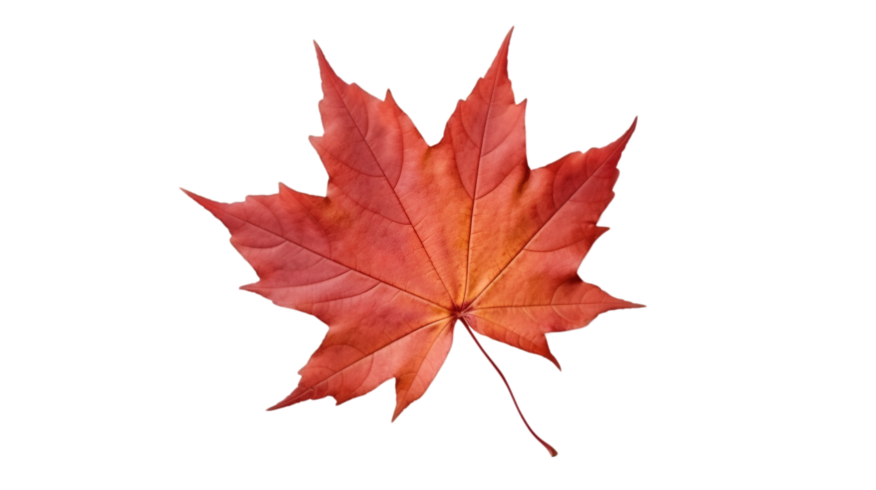 AI generated autumn leaves falling on a transparent background png