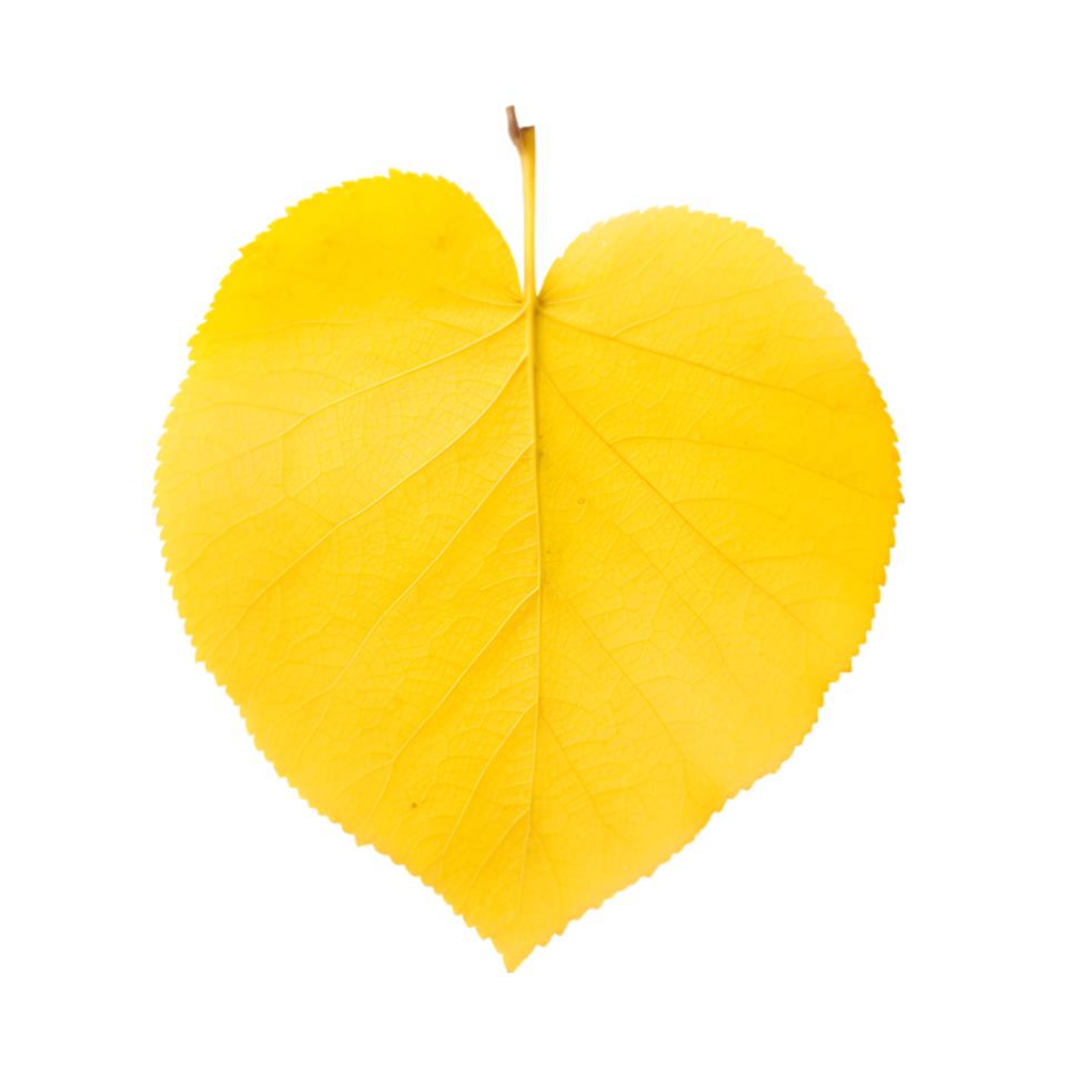AI generated autumn leaves falling on transparent background png