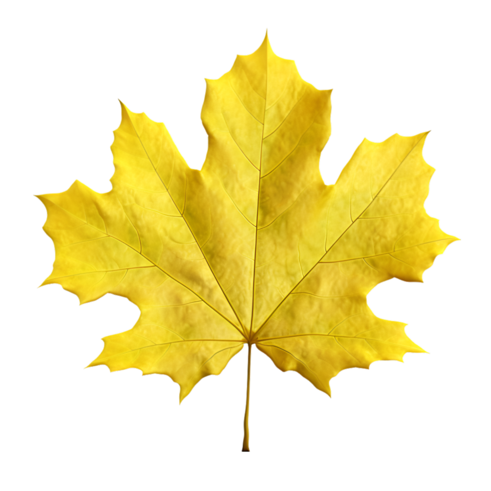 AI generated autumn leaves falling on transparent background png