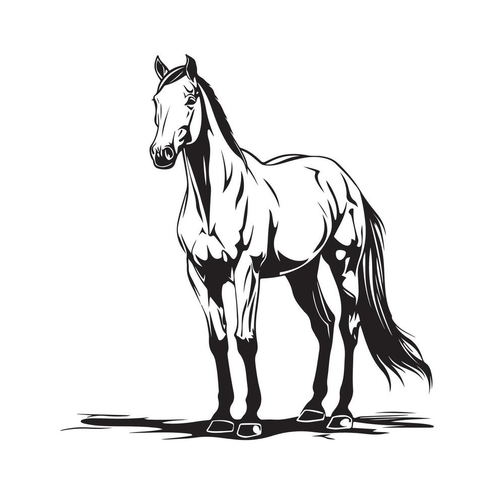 Horse isolated on white vector