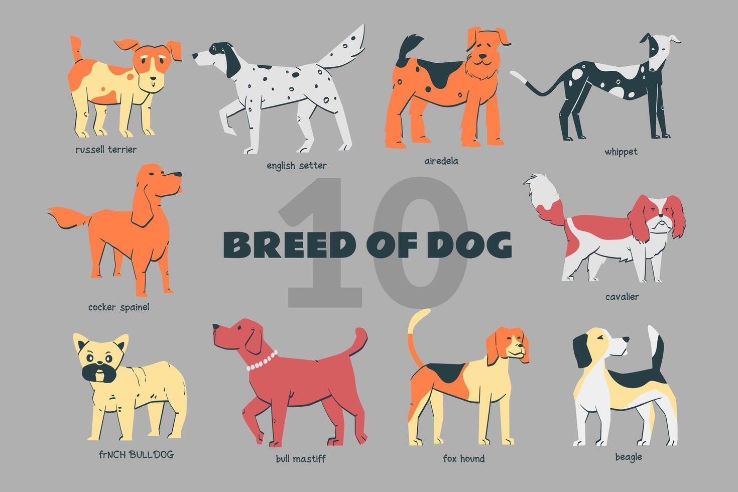 Breed of Dog set handdrawn doodle illustration with various pose vector