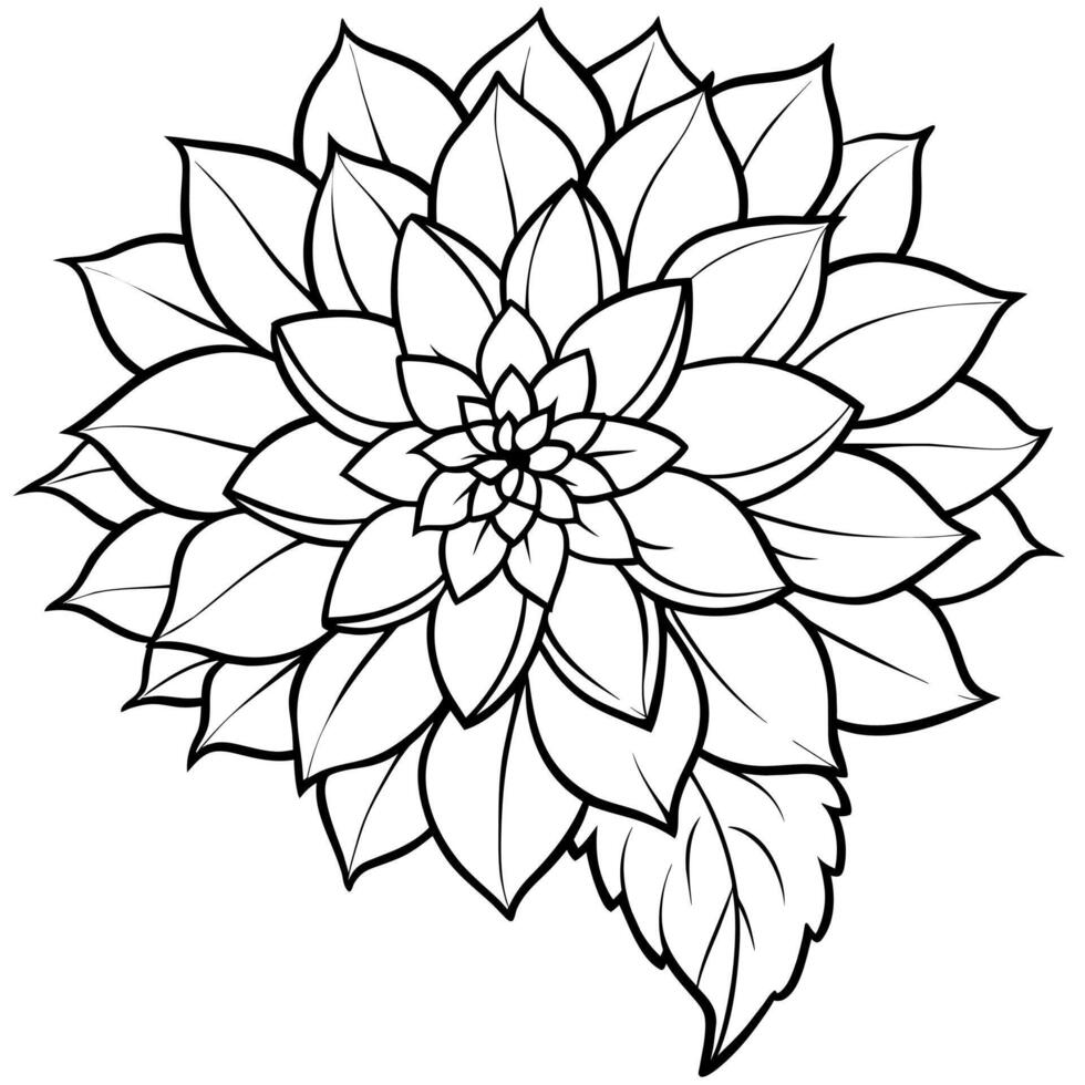 Dahlia flower plant outline illustration coloring book page design, Dahlia flower plant and white line art drawing coloring book pages for children and adults vector