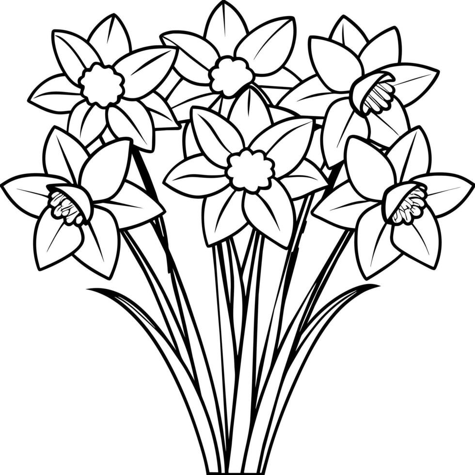 Daffodil Flower Bouquet outline illustration coloring book page design, Daffodil Flower Bouquet black and white line art drawing coloring book pages for children and adults vector