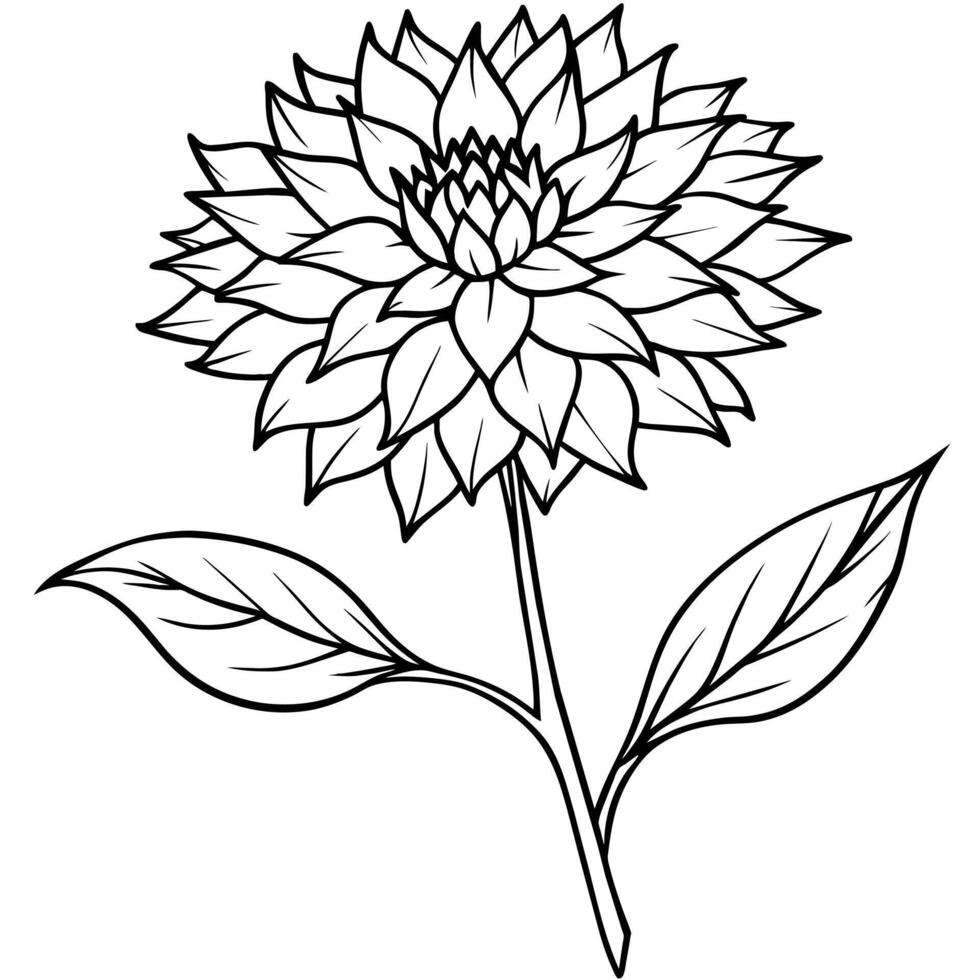 Cornflower flower plant outline illustration coloring book page design, Cornflower flower plant black and white line art drawing coloring book pages for children and adults vector