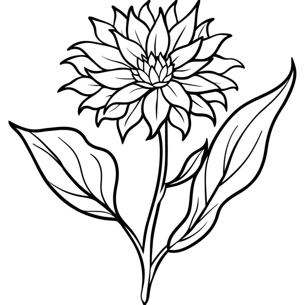 Cornflower flower plant outline illustration coloring book page design, Cornflower flower plant black and white line art drawing coloring book pages for children and adults vector