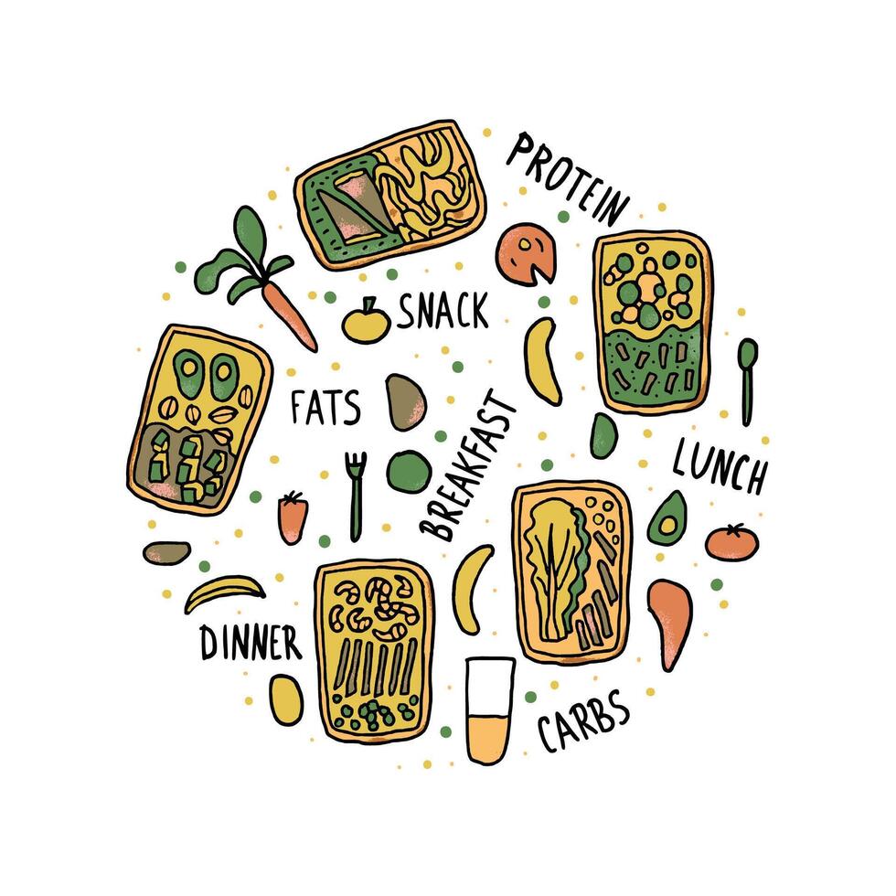 Health food set. Lunch boxes with meal. vector