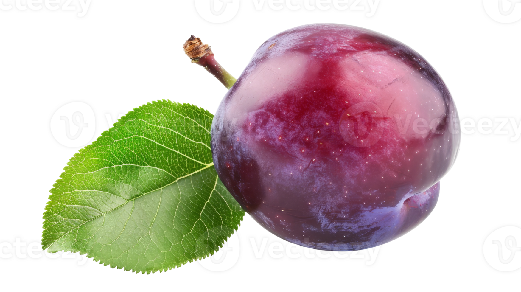 Fresh Leaf on Transparent Background, Format png