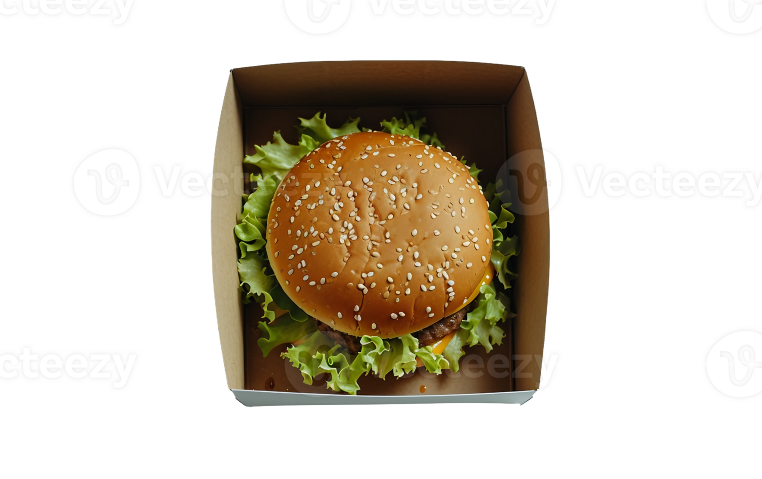 Hamburger Presentation in a Box on Transparent Background png