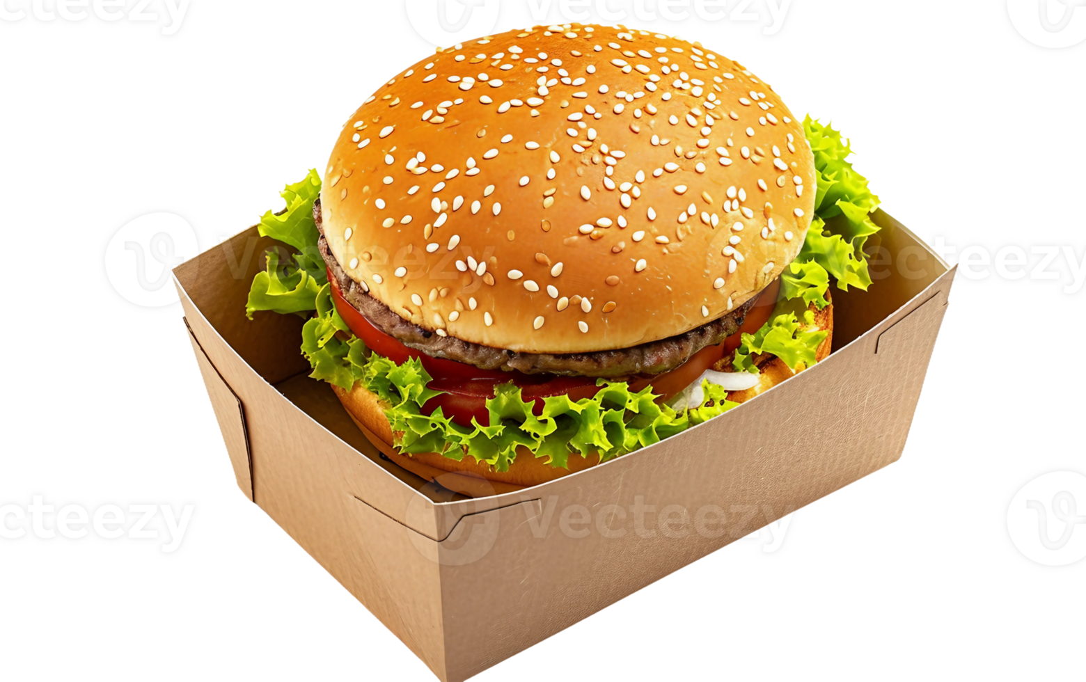 Hamburger in a Box on Transparent Background png