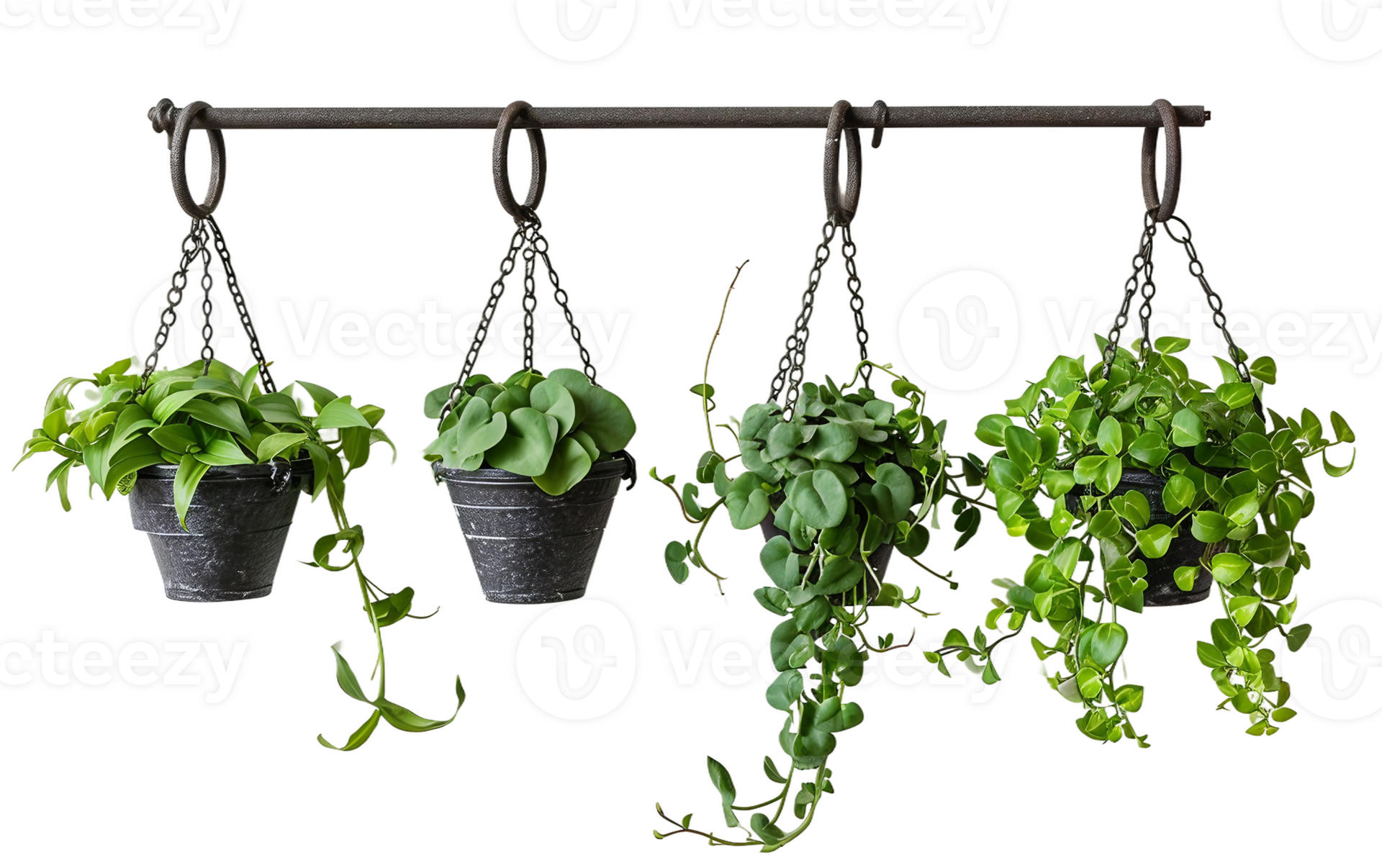 Iron Hooks for Hanging Plants on Transparent Background 44013165 PNG