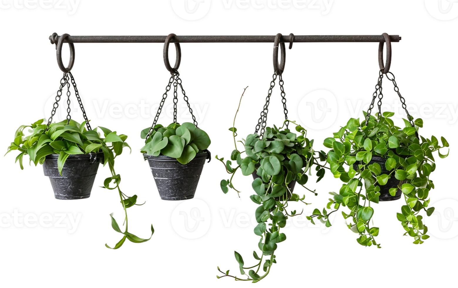 järn krokar för hängande växter på transparent bakgrund png