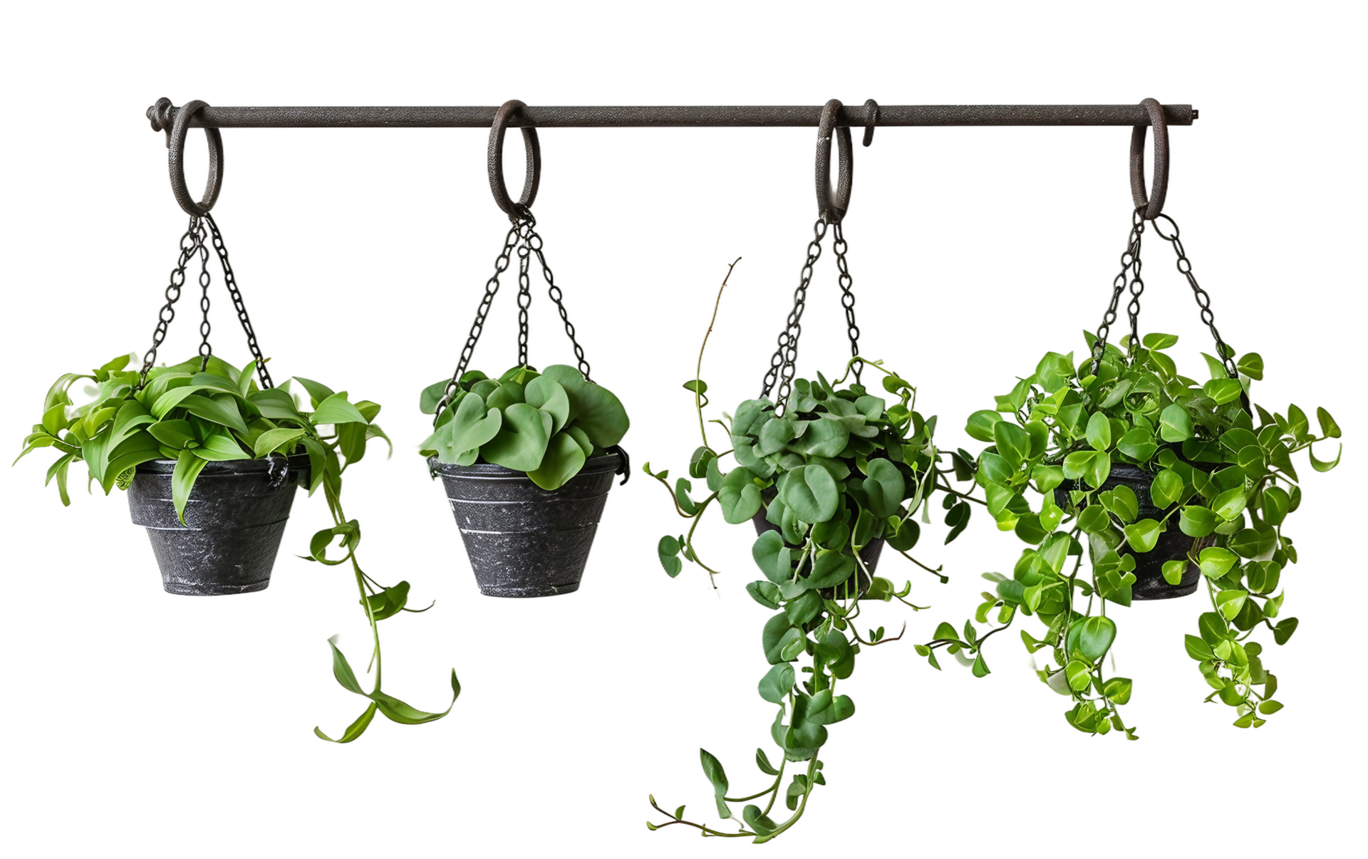 Iron Hooks for Hanging Plants on Transparent Background 44013165 PNG