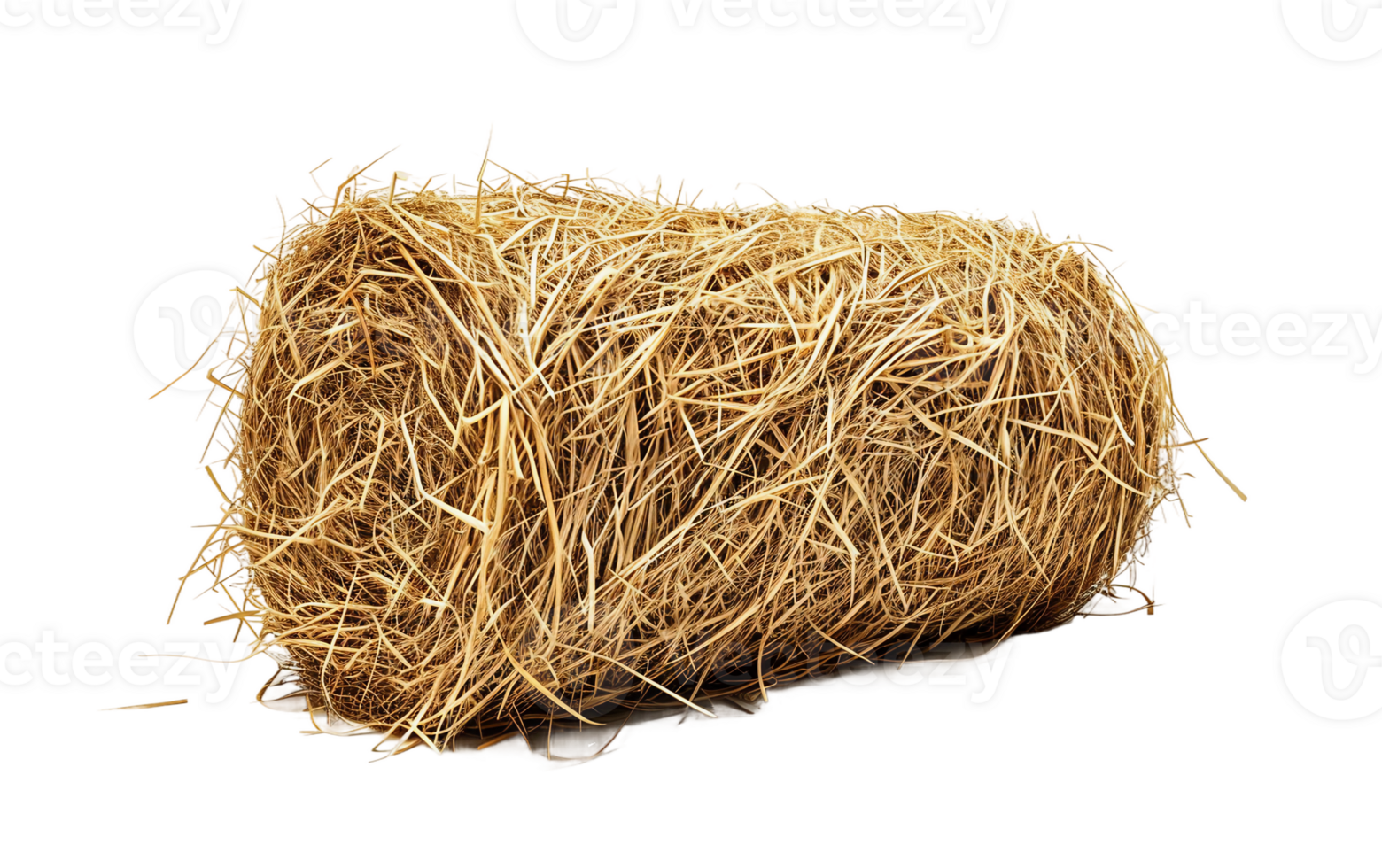 Cylinder Hay Portrait on Transparent Background png