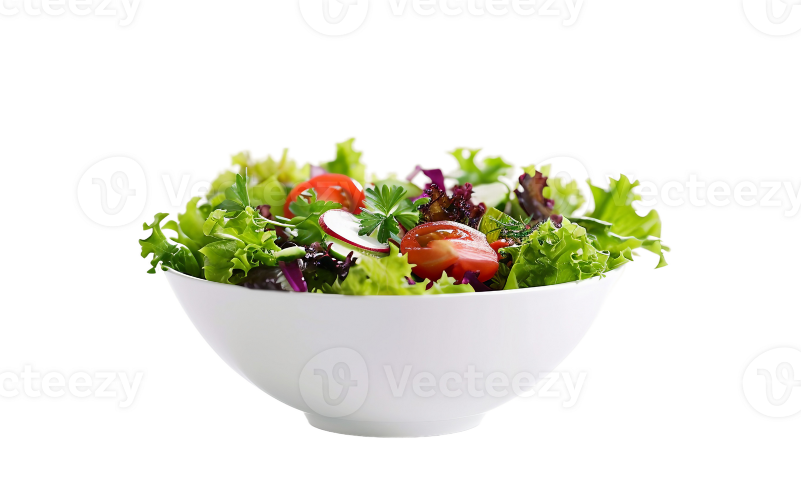 Salad Bowl Realism on Transparent Background png