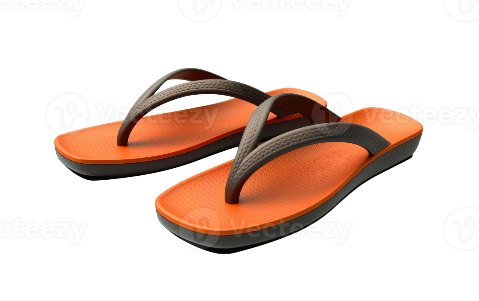 Rubber Flip-Flop Fashion png
