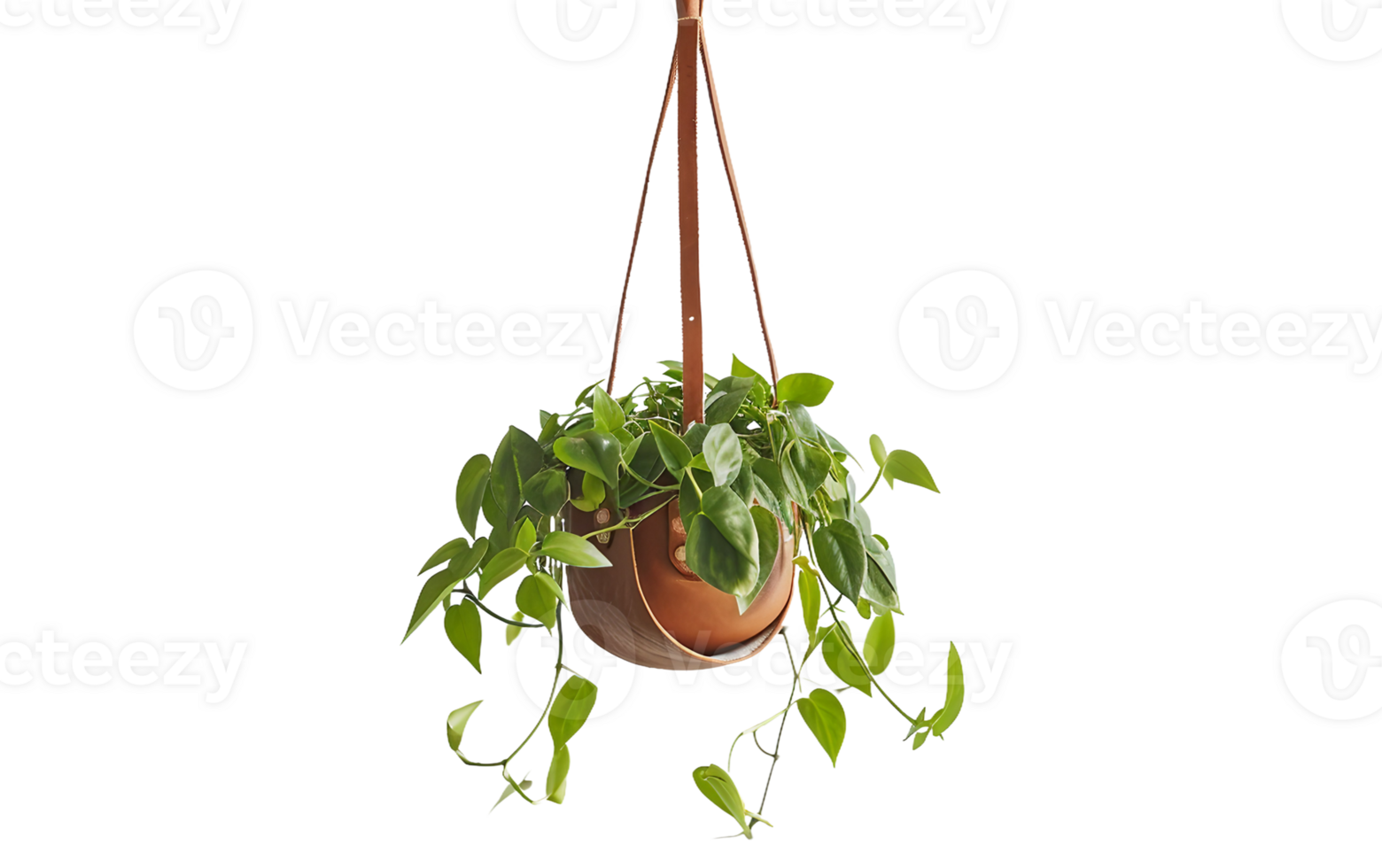 Handcrafted Leather Plant Hanger on Transparent Background png