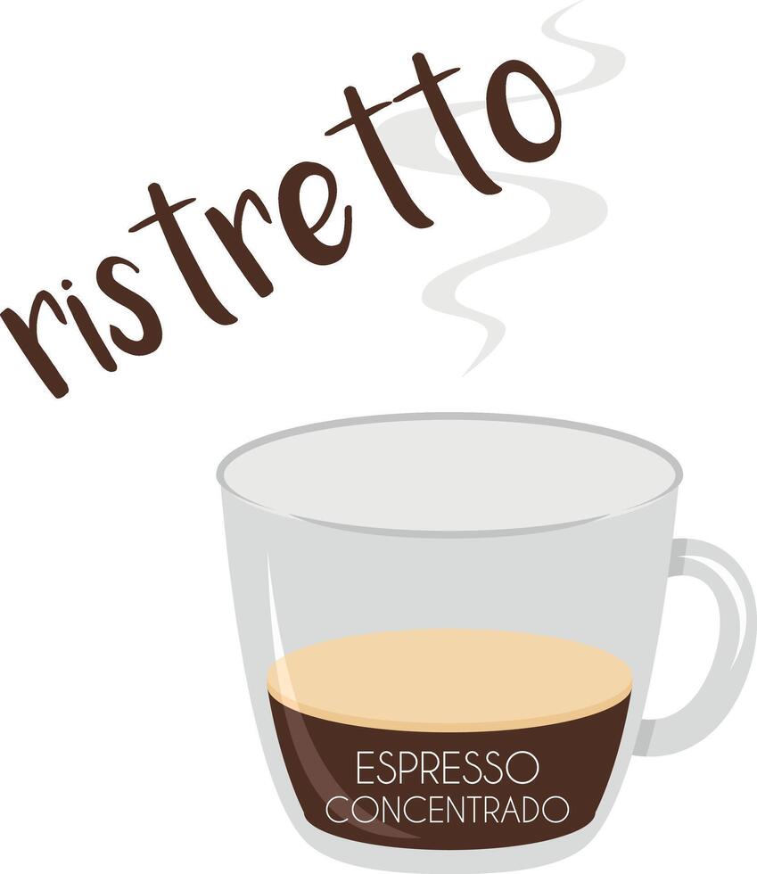 illustration of a Ristretto coffee cup icon with its preparation and proportions and names in spanish. vector