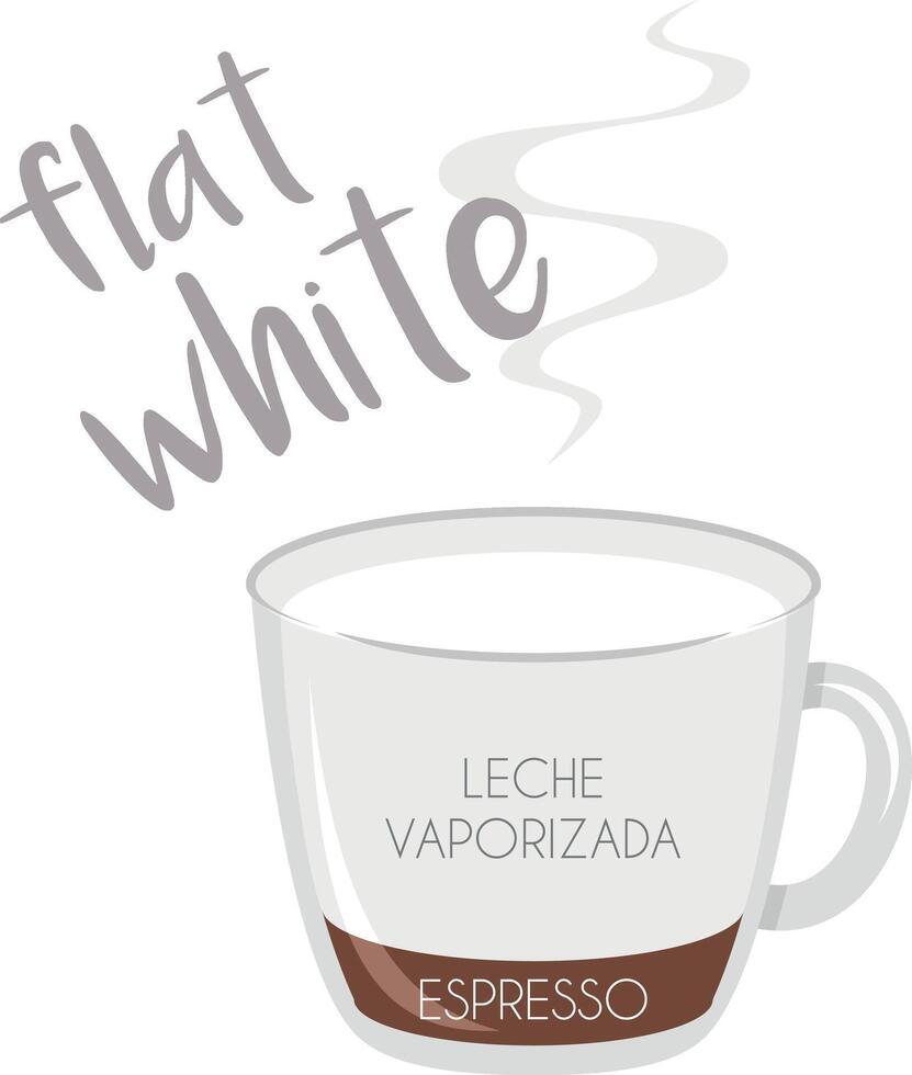 illustration of a Flat White coffee cup icon with its preparation and proportions and names in spanish. vector