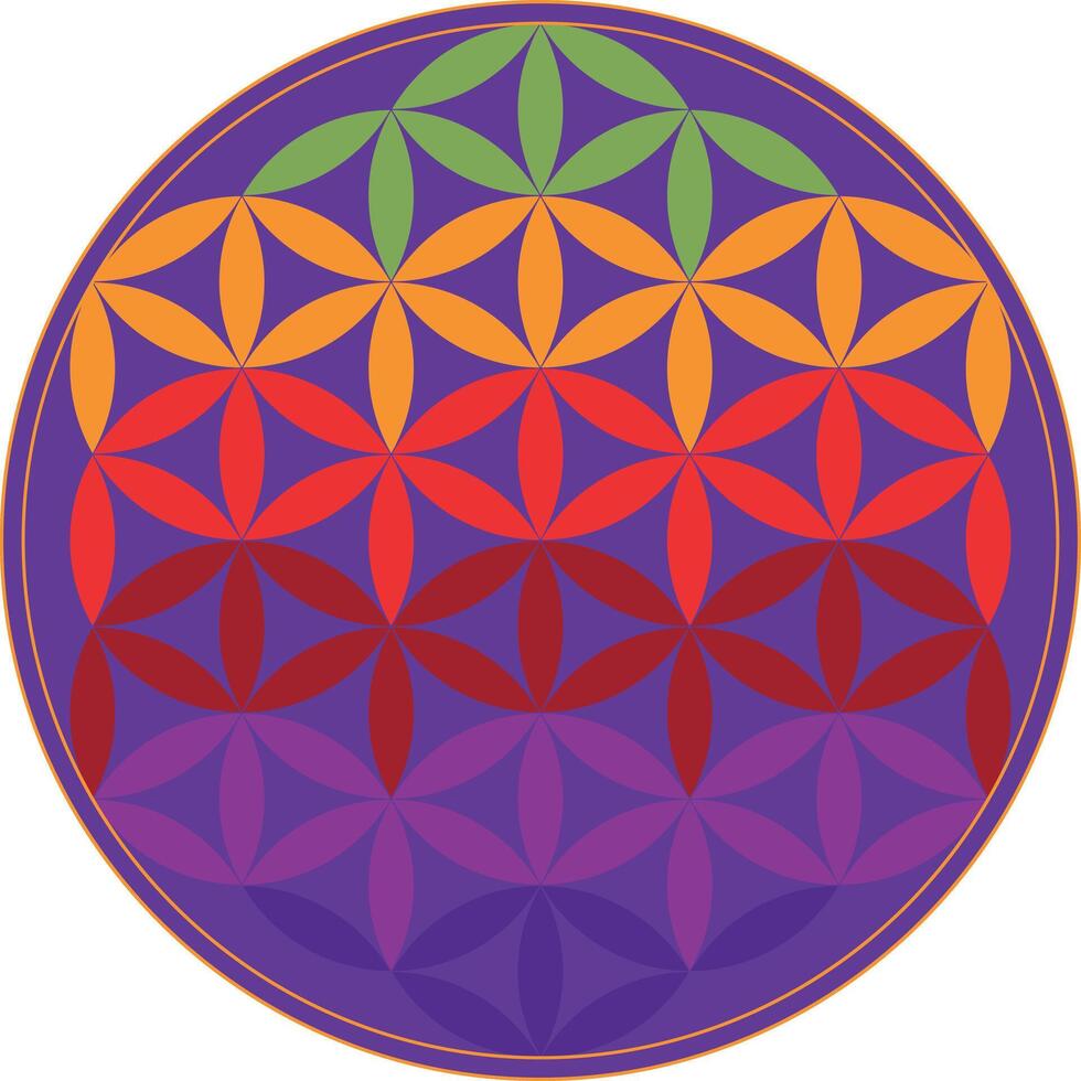 Colorful geometrical figure. Sacred Geometry Flower of Life illustration vector