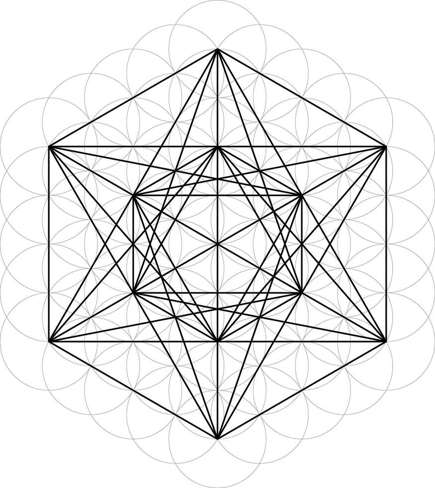 Geometrical figures. Sacred Geometry Davids Star and Flower of Life illustration vector