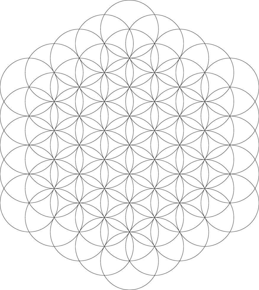 Geometrical figure. Sacred Geometry Flower of Life element. illustration vector