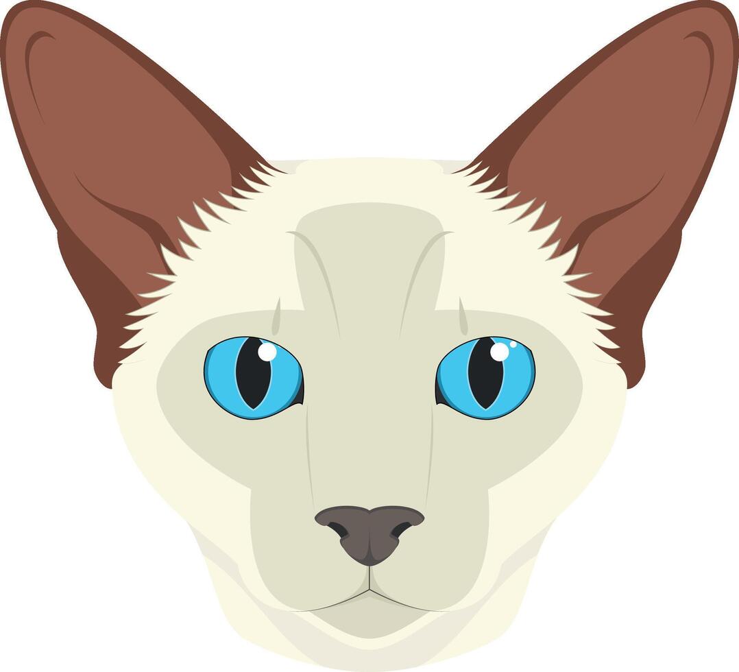 Balinese cat isolated on white background illustration vector