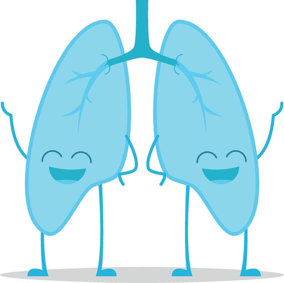 illustration of a healthy and funny lungs in cartoon style. vector
