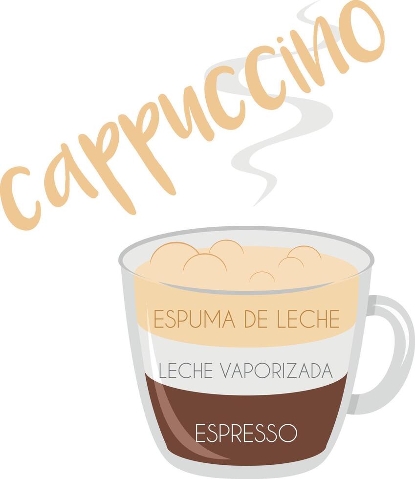 illustration of a Cappuccino coffee cup icon with its preparation and proportions and names in spanish. vector