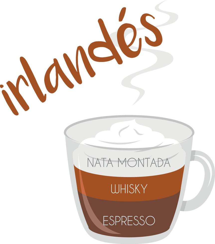 illustration of an Irish coffee cup icon with its preparation and proportions and names in spanish. vector
