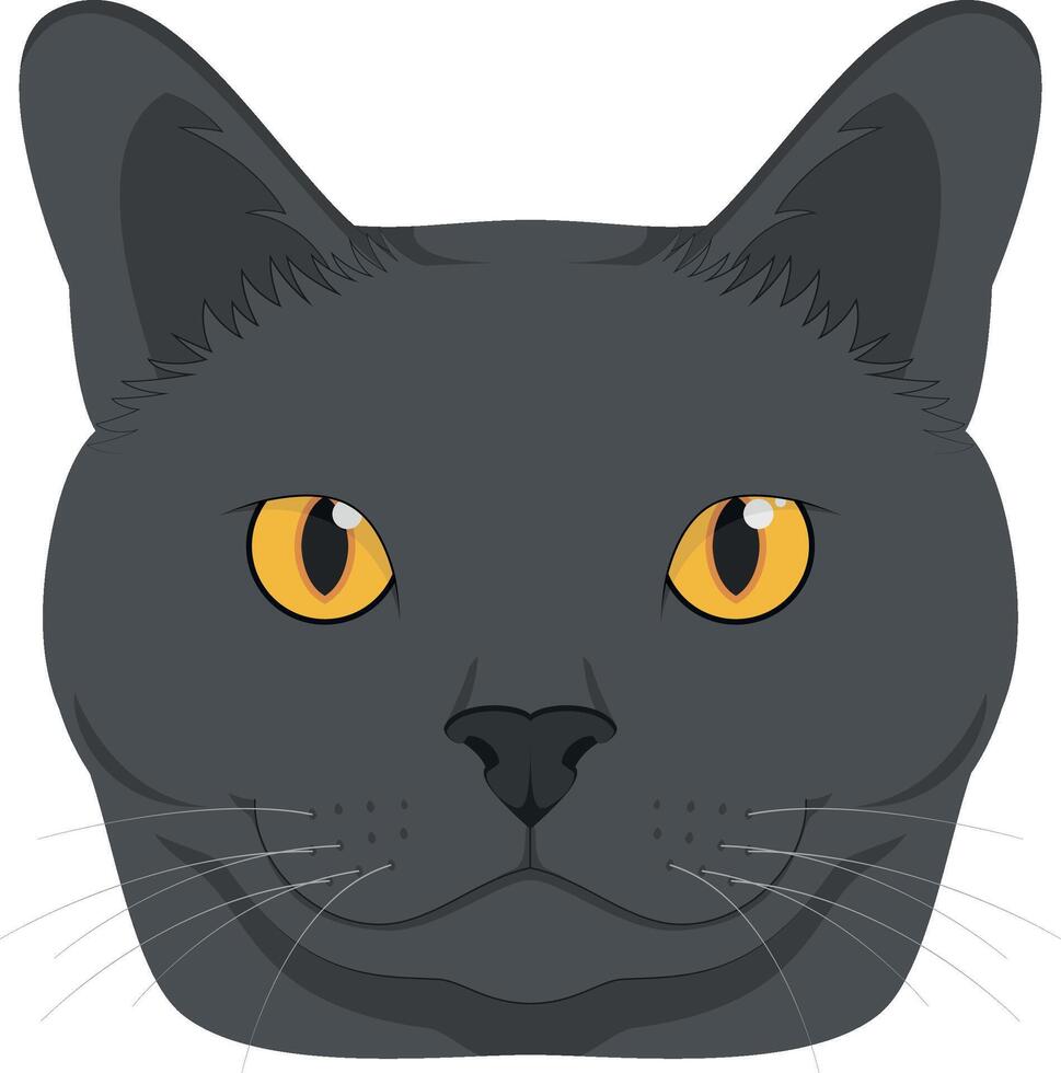Chartreux cat isolated on white background illustration vector