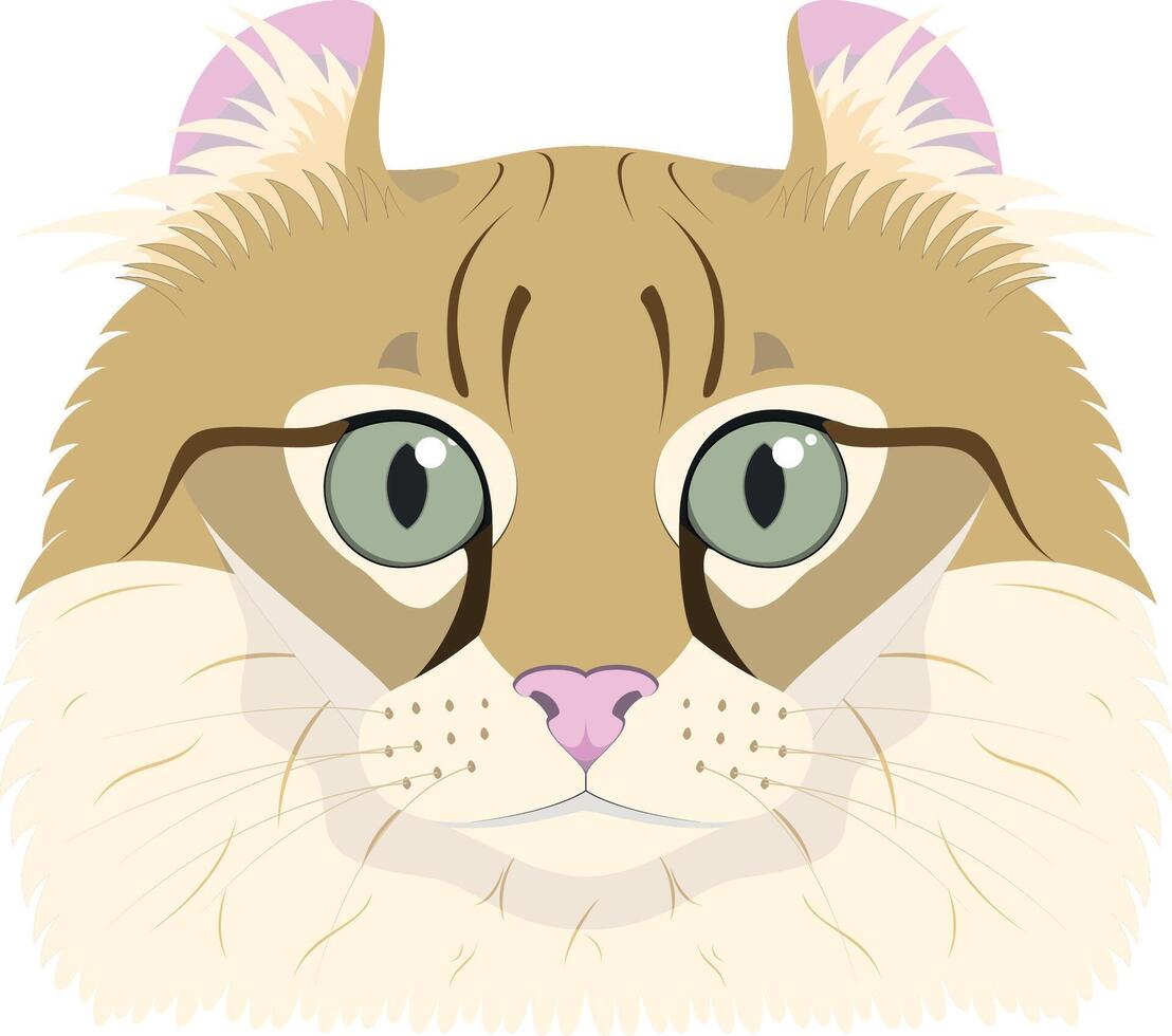 American Curl cat isolated on white background illustration vector