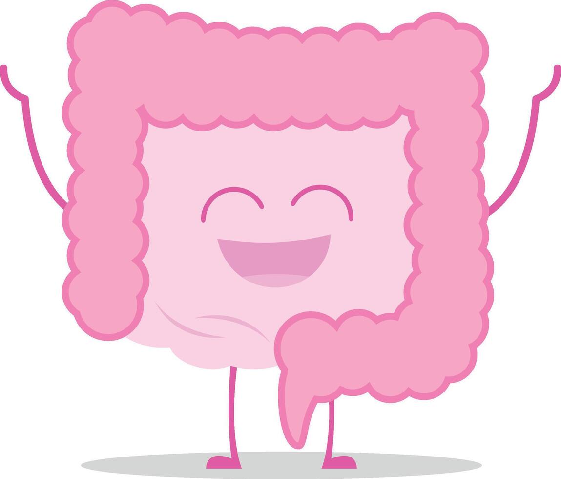 ilustración de un sano y gracioso intestino en dibujos animados estilo. vector