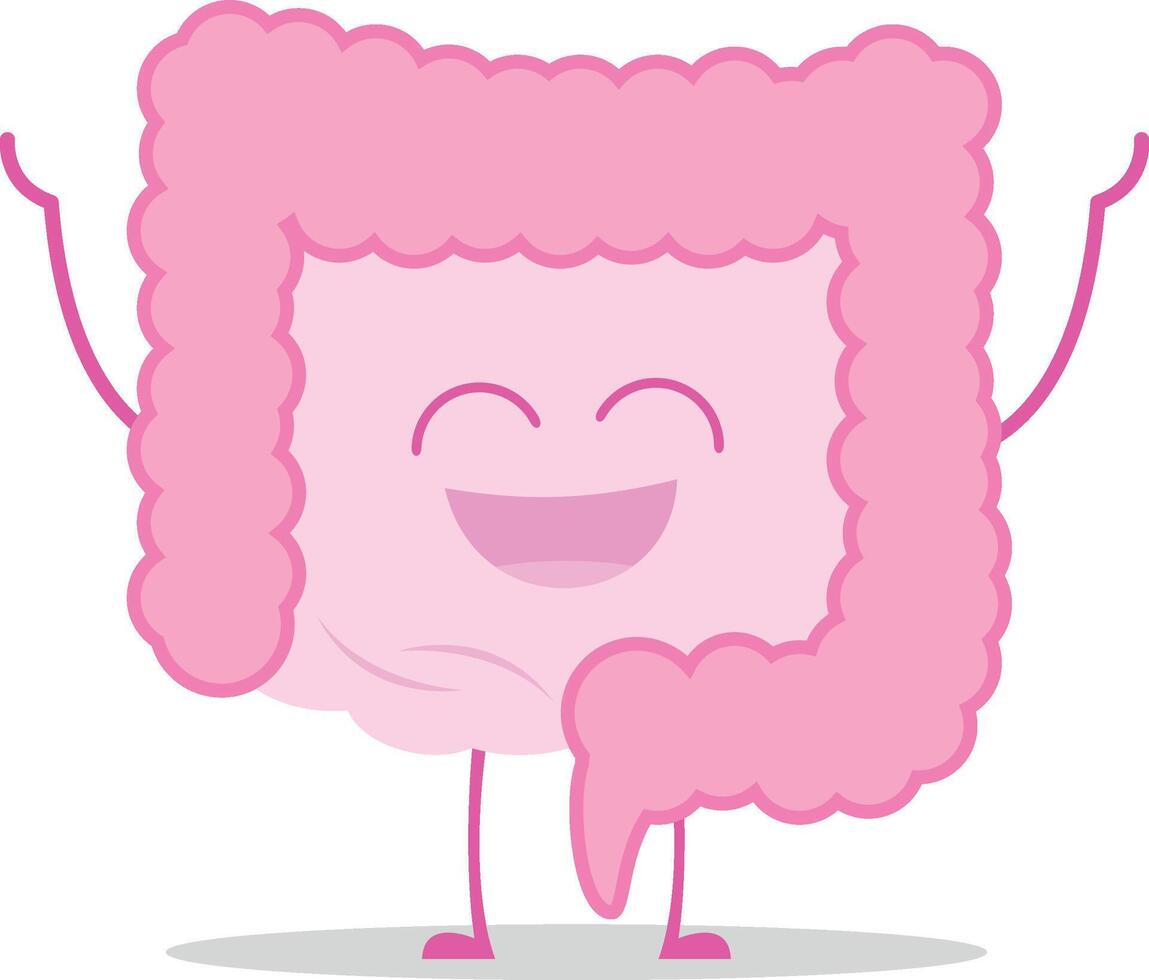 illustration of a healthy and funny intestine in cartoon style. vector