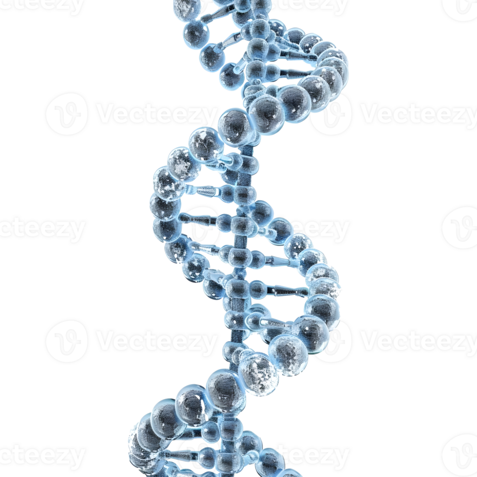 3D Rendering of a DNA Element on Transparent Background png